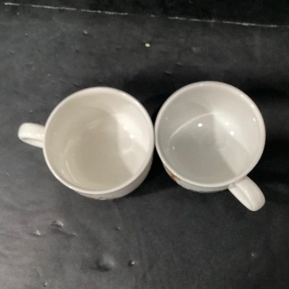 Villeroy & Boch Botanica Teacup and Saucers, Set of 2, Vintage Botanical Design